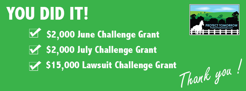 challenge-grants
